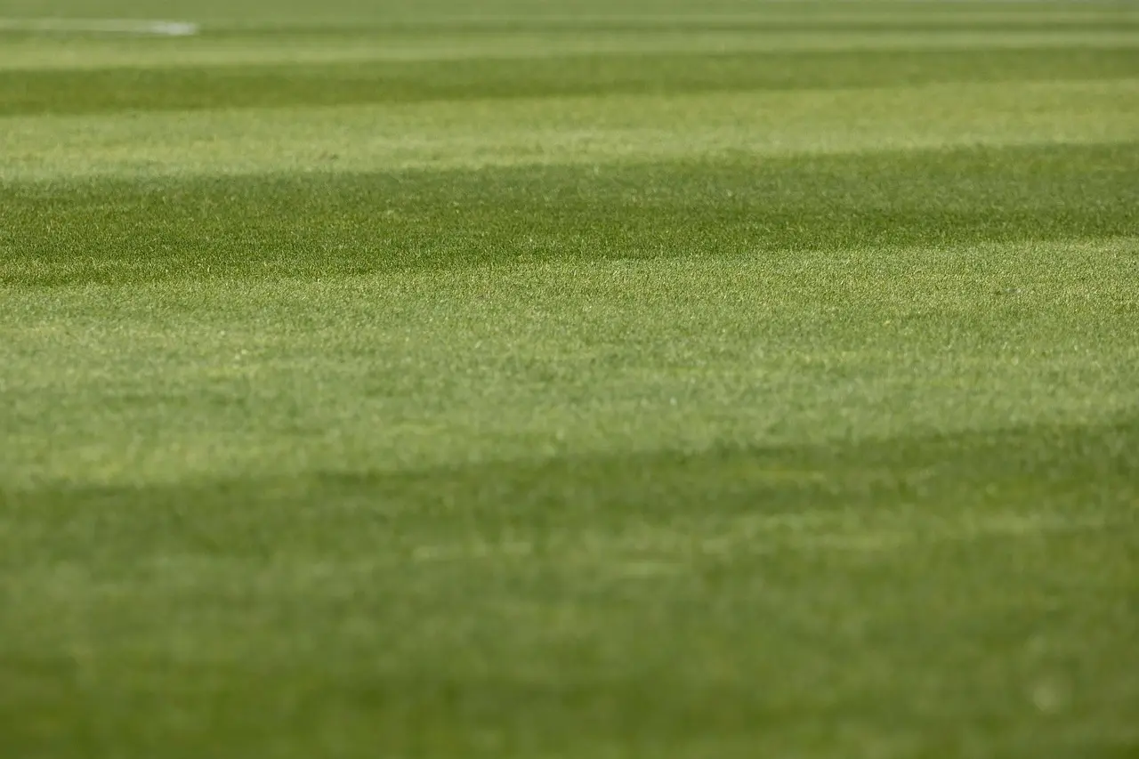 Runde 5 i A-League 2025/26: Skarp effektivitet, sene afgørelser og VAR i centrum