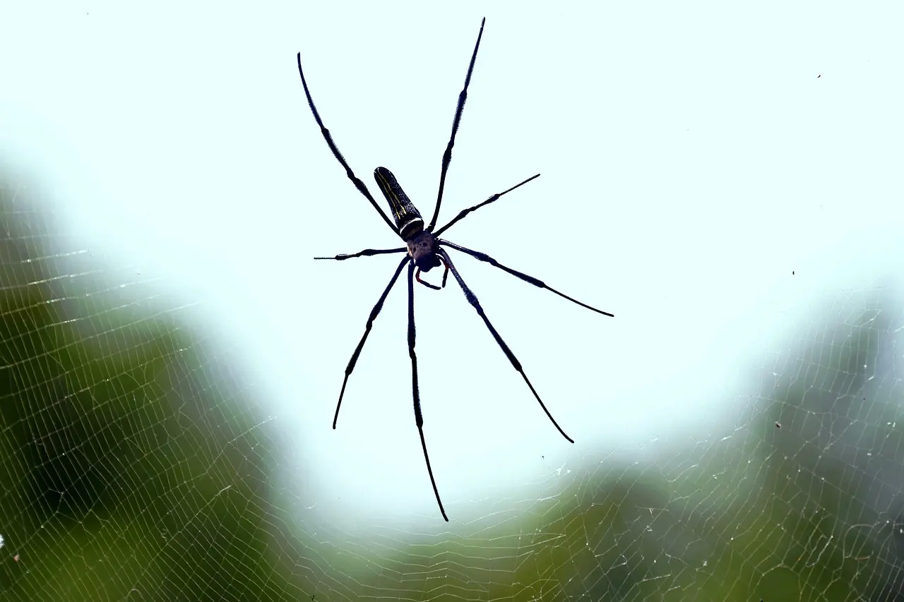 Medvirkende i Wild Wild West