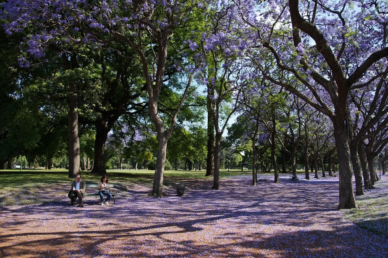 Hvordan er vejret i Sydney i november?